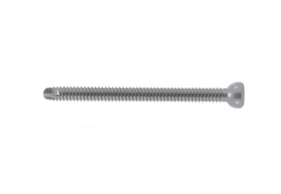 Ace/DePuy/Biomet 4.5 mm Solid Cortical Bone Screw