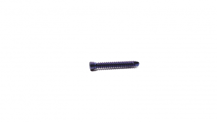 DePuy 3.5 mm Cortical Locking Screw 24 mm