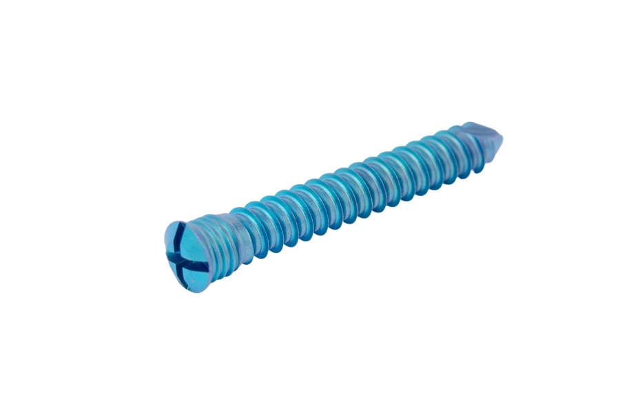 Synthes 3.0mm titanium locking screw, for sternal locking plates, 22mm length 413.592