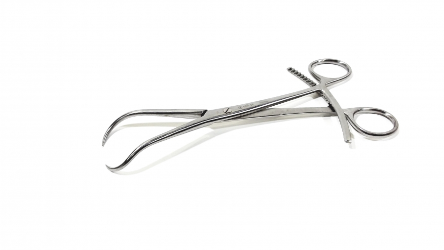 Zimmer Stagbeetle Forceps, Ratchet, w/ Points, 205 mm